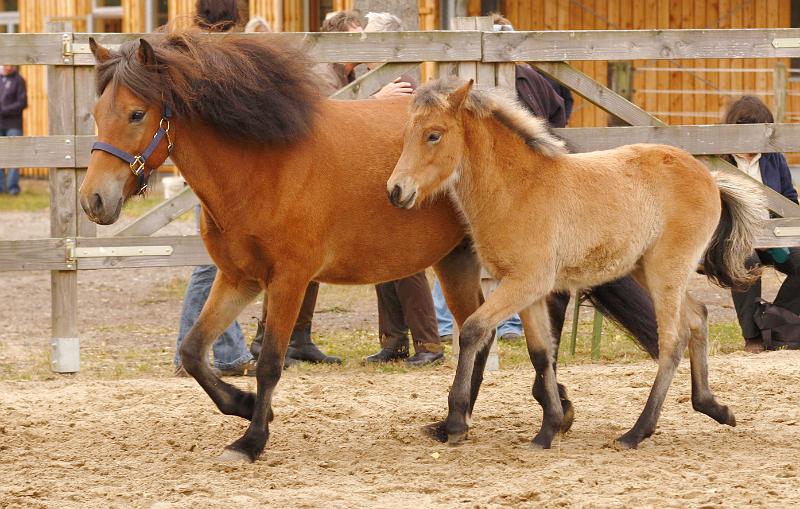 Gina von Heidmoor b.jpg